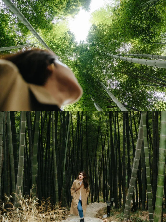 本以為莫干山夠美了直到我來了這裡。