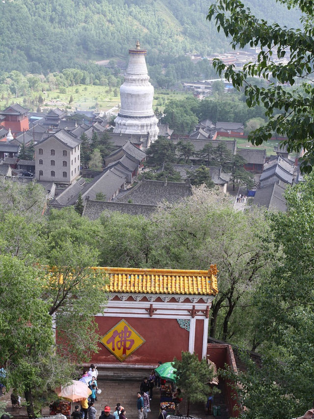 探秘千年古剎，領略佛教文化，盡在五台山。