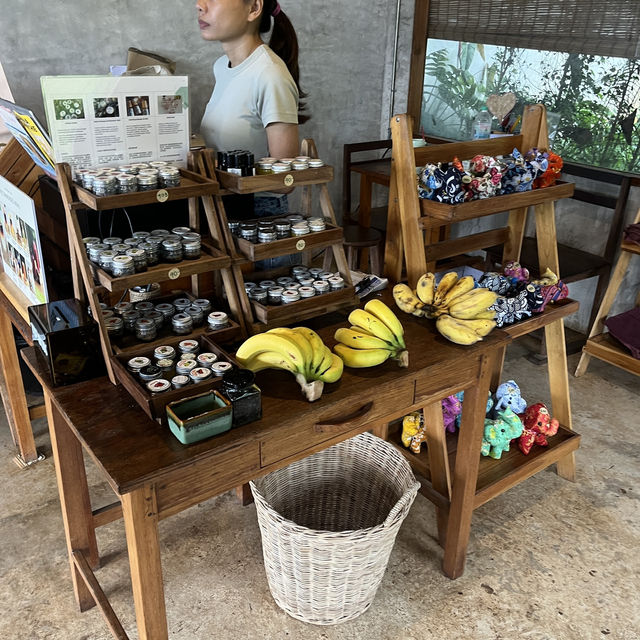 코끼리를 만날 수 있는 이색 카페 🐘☕️