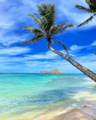 Kauai Travel Guide: Explore the Natural Beauty and Food Paradise