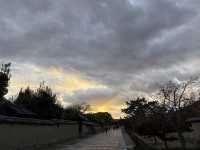 法隆寺——奈良的世界文化遺產。