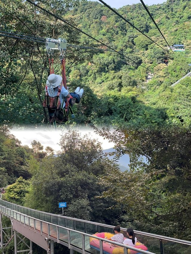 去南丹山森林王國吸氧啦……