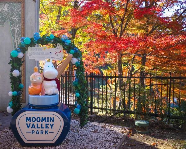 Discover the Charm of Saitama's Little Nordic