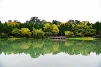 南郊公園｜一處隱藏在都市中的古色古香