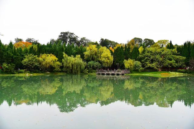 南郊公園｜一處隱藏在都市中的古色古香