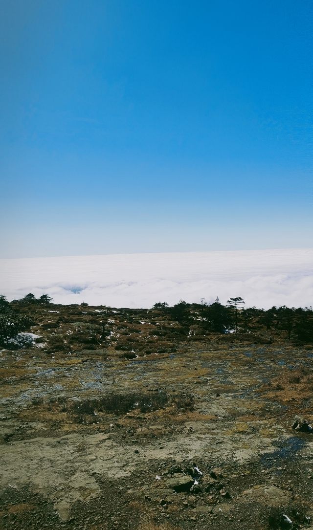 到看雪山的季節啦！！！