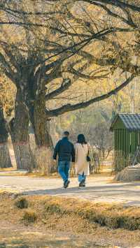 呼和浩特的青城公園冬天，美如畫卷般（附攻略）