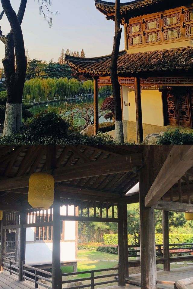 游玩江南園林｜南京愚園