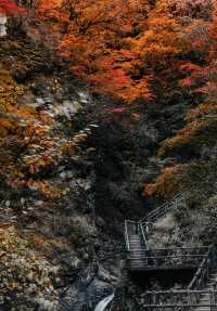 本溪關門山：秋韻華章，紅葉盛境