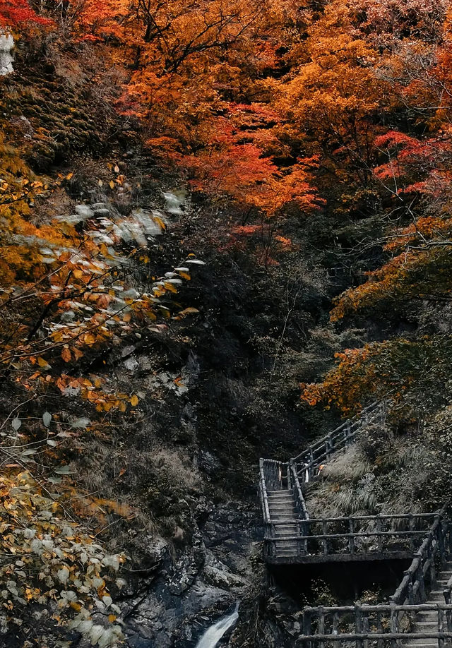 本溪關門山：秋韻華章，紅葉盛境