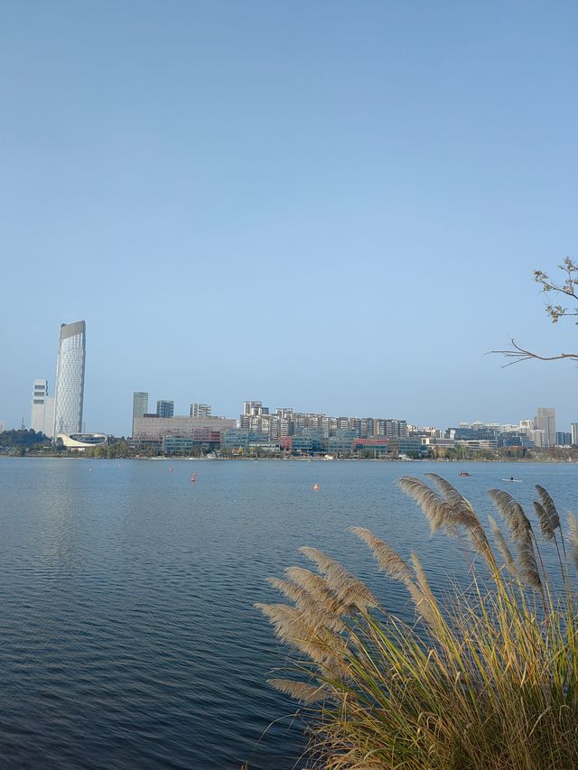 興隆湖，一個屬於成都人民自己的「海」的好地方