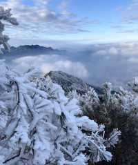 杭州出發｜12月23日 太子尖觀雪賞霧凇