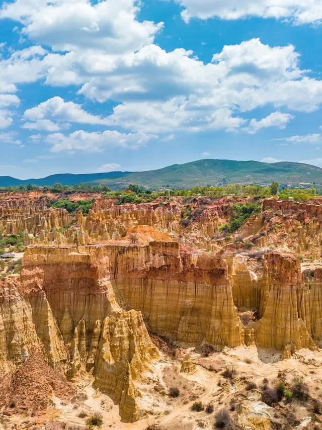 Yuanmou Stone Forest