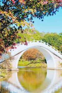 廣東周邊遊