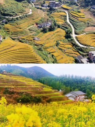 Mountain Homestay: A Hidden Gem in Chongyi Shangbao Terraces