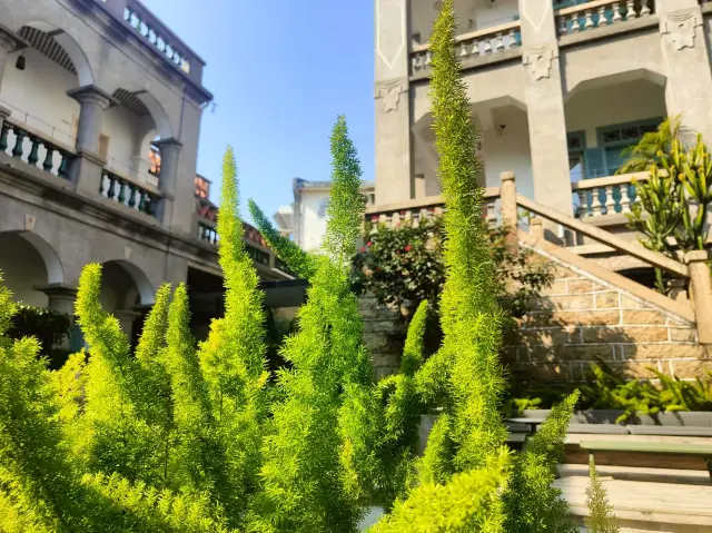 작은 섬에 숨겨진 숲속 정원 - 평범하지 않은 감성