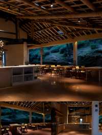 碧峰峡山野私湯民宿團建 | 暮雲春樹