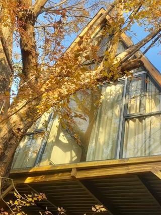 驚爆！鐘祥呢間木屋民宿藏住大快樂