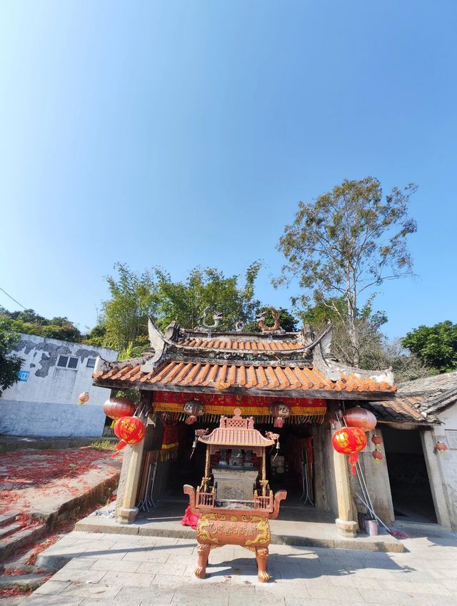哇塞！鳥榕與石塔的奇妙共生 | 詔安金環寶塔