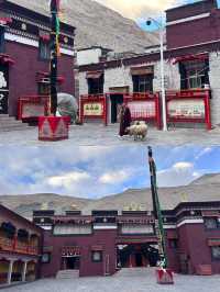 勇闖定日，探秘奇幻旅程