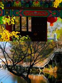 天然氧吧，泰山後山玉泉寺