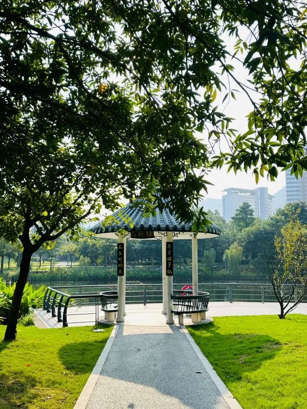 被這個公園治癒…周末遛娃 散步必逛四海公園