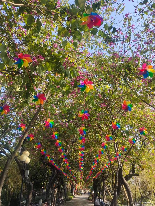 蛇年添喜慶一一東山湖公園！