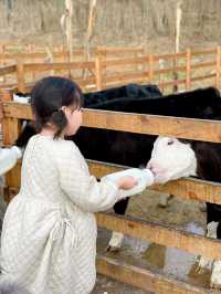 成都出發1h ｜餵奶牛餵小動物 遛娃…