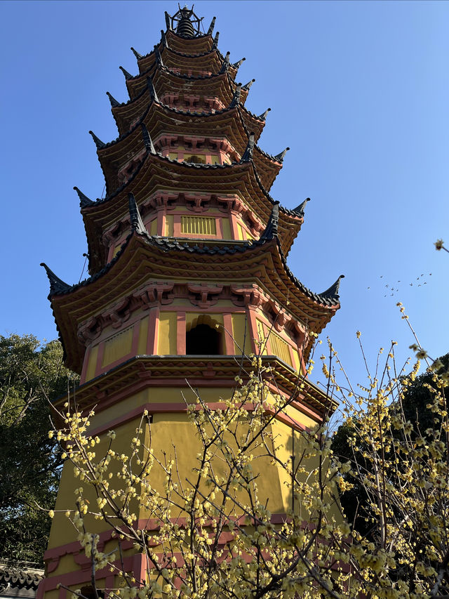 巷子裡的寶藏古建築|獨一無二的蘇州雙塔