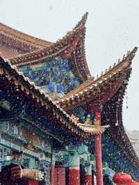 昆明限定雪景圓通禪寺