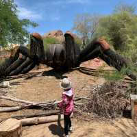 Exploring Phoenix Zoo and Desert Botanical Garden