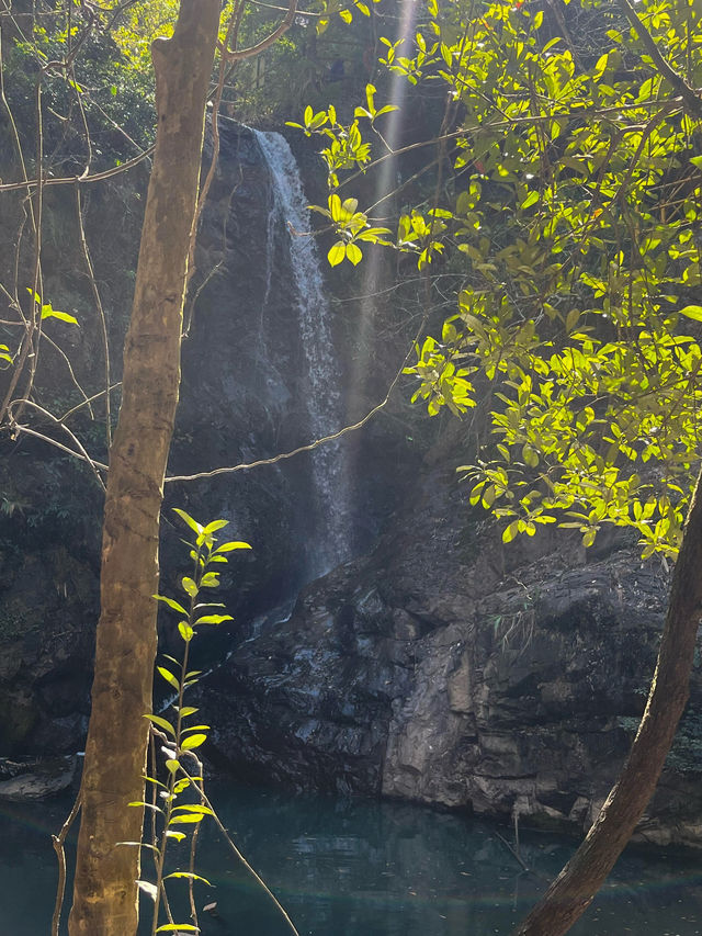 深圳市馬巒山徒步之旅#