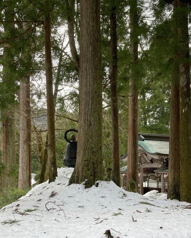 永平寺：一場穿越時光嘅禪意修行