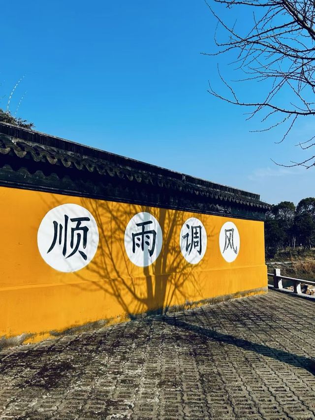 蘇州西山島 | 一場治癒人心的自駕一日遊