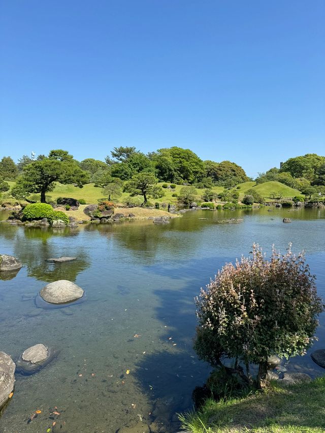 日本深林探秘 邂逅自然的呼吸