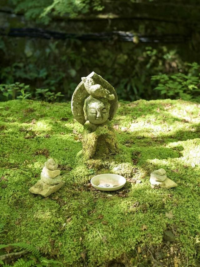 京都納涼一日遊本地人推薦小眾寶藏路線