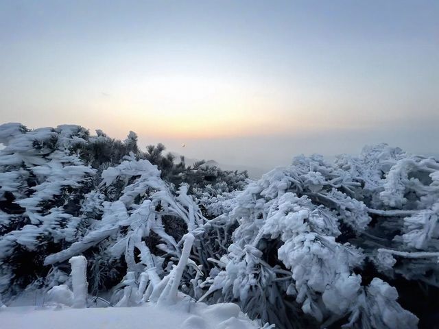 江西遂川：夢幻雪景，你見過嗎？