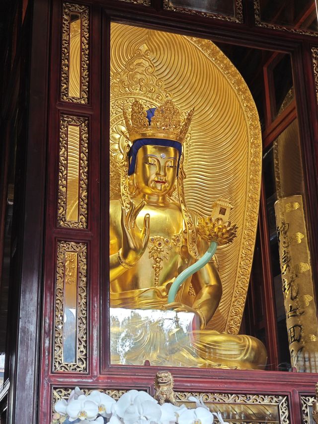 寒假必遊文山壯族苗族自治州等地超詳細攻略