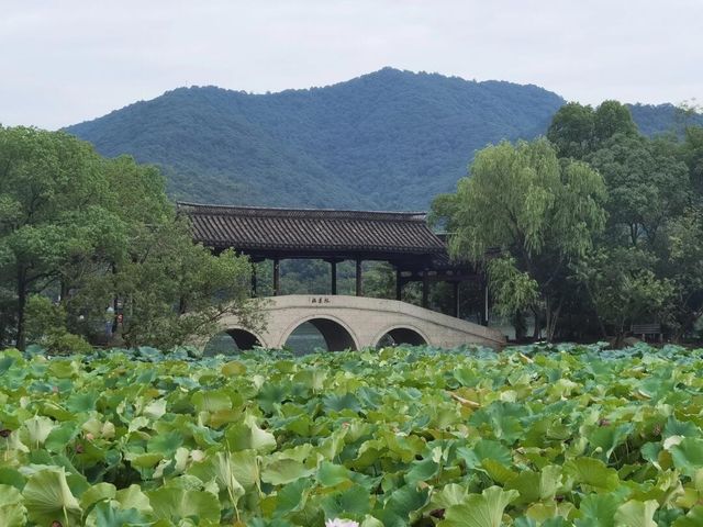 杭州蕭山湘湖一日遊