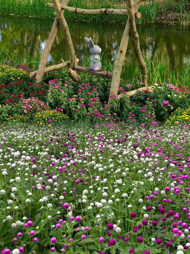 比起西湖，我更喜歡這個油畫般的莫奈花園