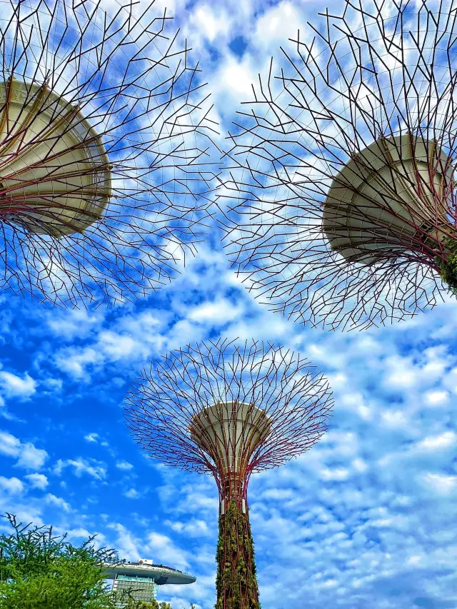 Singapore Visa-Free Travel: Complete Guide for Seniors