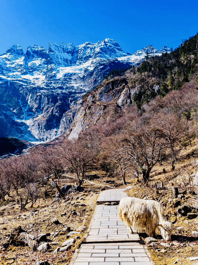 Yubeng China's Most Mysterious Village