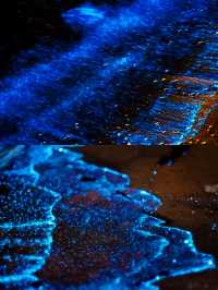 天津海邊藍眼淚,睇呢篇攻略就夠晒🫶🩷