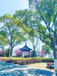 【如歌旅程】寧波｜東錢湖小普陀