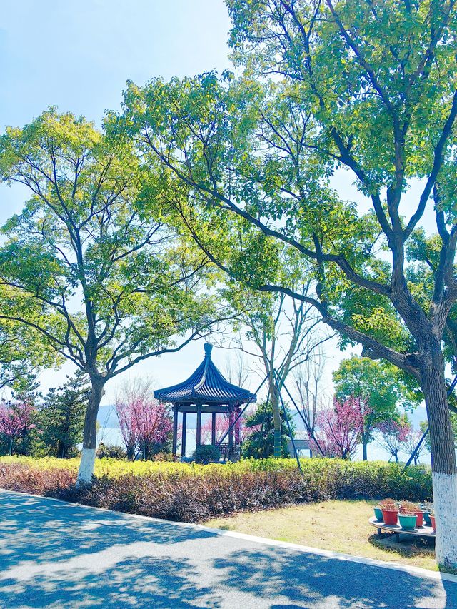 【如歌旅程】寧波｜東錢湖小普陀