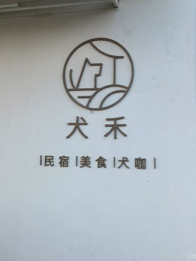 🐾珠海犬禾民宿 | 毛孩子嘅快樂老家🏡