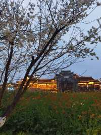 宜賓2日探秘森林之旅｜超詳細攻略
