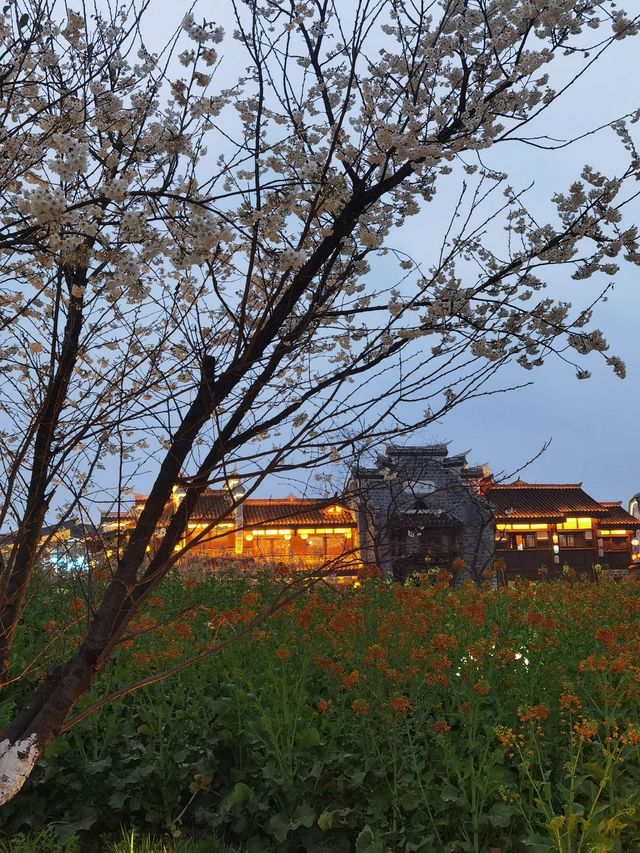 宜賓2日探秘森林之旅｜超詳細攻略
