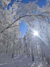 3日哈爾濱-雪鄉之旅 泡溫泉·賞雪景全攻略