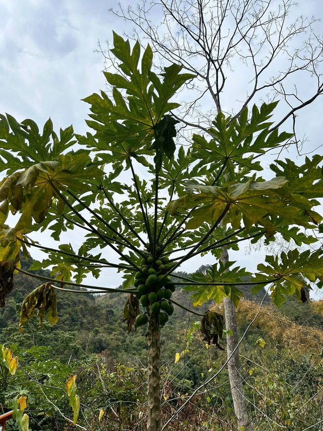南寧-德天瀑布-通靈峽谷 探秘自然山水的攝影天堂